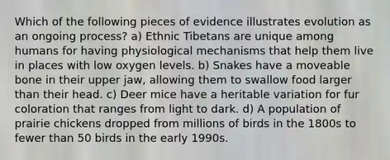 Which of the following pieces of evidence illustrates evolution as an ongoing process? a) Ethnic Tibetans are unique among humans for having physiological mechanisms that help them live in places with low oxygen levels. b) Snakes have a moveable bone in their upper jaw, allowing them to swallow food larger than their head. c) Deer mice have a heritable variation for fur coloration that ranges from light to dark. d) A population of prairie chickens dropped from millions of birds in the 1800s to fewer than 50 birds in the early 1990s.