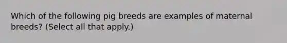 Which of the following pig breeds are examples of maternal breeds? (Select all that apply.)