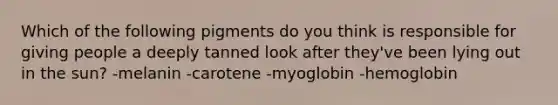 Which of the following pigments do you think is responsible for giving people a deeply tanned look after they've been lying out in the sun? -melanin -carotene -myoglobin -hemoglobin