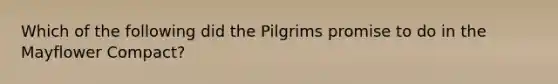 Which of the following did the Pilgrims promise to do in the Mayflower Compact?