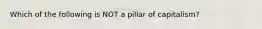 Which of the following is NOT a pillar of capitalism?