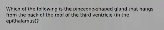 Which of the following is the pinecone-shaped gland that hangs from the back of the roof of the third ventricle (in the epithalamus)?