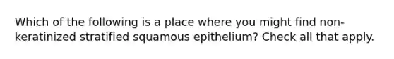 Which of the following is a place where you might find non-keratinized stratified squamous epithelium? Check all that apply.