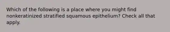 Which of the following is a place where you might find nonkeratinized stratified squamous epithelium? Check all that apply.