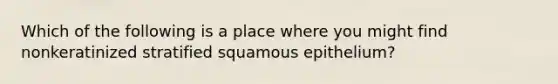 Which of the following is a place where you might find nonkeratinized stratified squamous epithelium?