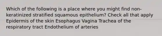 Which of the following is a place where you might find non-keratinized stratified squamous epithelium? Check all that apply Epidermis of the skin Esophagus Vagina Trachea of the respiratory tract Endothelium of arteries