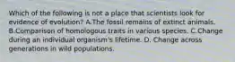 Which of the following is not a place that scientists look for evidence of evolution? A.The fossil remains of extinct animals. B.Comparison of homologous traits in various species. C.Change during an individual organism's lifetime. D. Change across generations in wild populations.