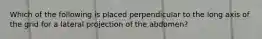 Which of the following is placed perpendicular to the long axis of the grid for a lateral projection of the abdomen?