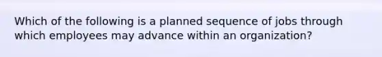 Which of the following is a planned sequence of jobs through which employees may advance within an organization?