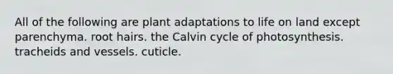 All of the following are plant adaptations to <a href='https://www.questionai.com/knowledge/k9VzeMAjx8-life-on-land' class='anchor-knowledge'>life on land</a> except parenchyma. root hairs. the Calvin cycle of photosynthesis. tracheids and vessels. cuticle.