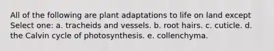 All of the following are plant adaptations to life on land except Select one: a. tracheids and vessels. b. root hairs. c. cuticle. d. the Calvin cycle of photosynthesis. e. collenchyma.