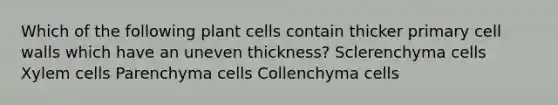 Which of the following plant cells contain thicker primary cell walls which have an uneven thickness? Sclerenchyma cells Xylem cells Parenchyma cells Collenchyma cells