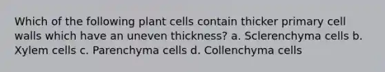 Which of the following plant cells contain thicker primary cell walls which have an uneven thickness? a. Sclerenchyma cells b. Xylem cells c. Parenchyma cells d. Collenchyma cells