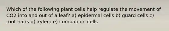 Which of the following plant cells help regulate the movement of CO2 into and out of a leaf? a) epidermal cells b) guard cells c) root hairs d) xylem e) companion cells