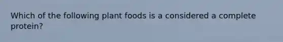 Which of the following plant foods is a considered a complete protein?