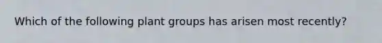 Which of the following plant groups has arisen most recently?