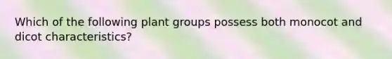 Which of the following plant groups possess both monocot and dicot characteristics?