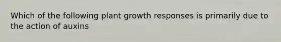 Which of the following plant growth responses is primarily due to the action of auxins