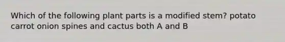 Which of the following plant parts is a modified stem? potato carrot onion spines and cactus both A and B