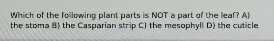 Which of the following plant parts is NOT a part of the leaf? A) the stoma B) the Casparian strip C) the mesophyll D) the cuticle