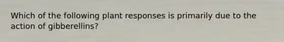 Which of the following plant responses is primarily due to the action of gibberellins?