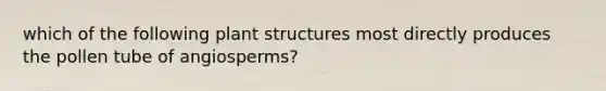 which of the following plant structures most directly produces the pollen tube of angiosperms?