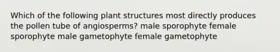 Which of the following plant structures most directly produces the pollen tube of angiosperms? male sporophyte female sporophyte male gametophyte female gametophyte