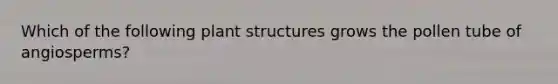 Which of the following plant structures grows the pollen tube of angiosperms?