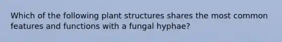 Which of the following plant structures shares the most common features and functions with a fungal hyphae?