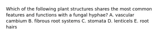 Which of the following plant structures shares the most common features and functions with a fungal hyphae? A. vascular cambium B. fibrous root systems C. stomata D. lenticels E. root hairs