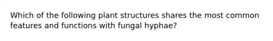 Which of the following plant structures shares the most common features and functions with fungal hyphae?