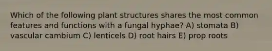 Which of the following plant structures shares the most common features and functions with a fungal hyphae? A) stomata B) vascular cambium C) lenticels D) root hairs E) prop roots