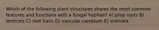 Which of the following plant structures shares the most common features and functions with a fungal hyphae? A) prop roots B) lenticels C) root hairs D) vascular cambium E) stomata