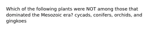 Which of the following plants were NOT among those that dominated the Mesozoic era? cycads, conifers, orchids, and gingkoes