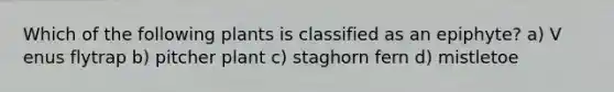 Which of the following plants is classified as an epiphyte? a) V enus flytrap b) pitcher plant c) staghorn fern d) mistletoe