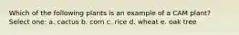 Which of the following plants is an example of a CAM plant? Select one: a. cactus b. corn c. rice d. wheat e. oak tree