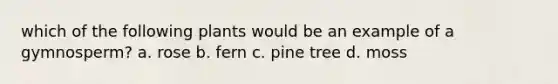 which of the following plants would be an example of a gymnosperm? a. rose b. fern c. pine tree d. moss