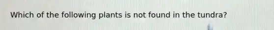 Which of the following plants is not found in the tundra?
