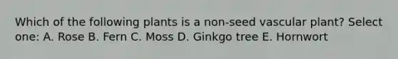 Which of the following plants is a non-seed vascular plant? Select one: A. Rose B. Fern C. Moss D. Ginkgo tree E. Hornwort