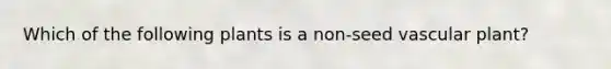 Which of the following plants is a non-seed vascular plant?