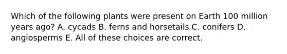 Which of the following plants were present on Earth 100 million years ago? A. cycads B. ferns and horsetails C. conifers D. angiosperms E. All of these choices are correct.