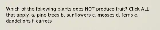 Which of the following plants does NOT produce fruit? Click ALL that apply. a. pine trees b. sunflowers c. mosses d. ferns e. dandelions f. carrots