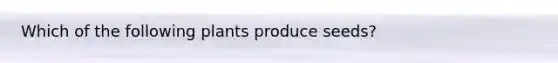Which of the following plants produce seeds?