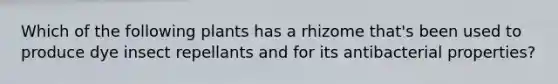 Which of the following plants has a rhizome that's been used to produce dye insect repellants and for its antibacterial properties?