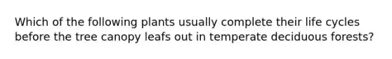 Which of the following plants usually complete their life cycles before the tree canopy leafs out in temperate deciduous forests?