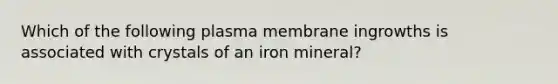 Which of the following plasma membrane ingrowths is associated with crystals of an iron mineral?