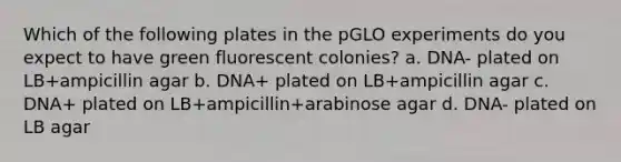 Which of the following plates in the pGLO experiments do you expect to have green fluorescent colonies? a. DNA- plated on LB+ampicillin agar b. DNA+ plated on LB+ampicillin agar c. DNA+ plated on LB+ampicillin+arabinose agar d. DNA- plated on LB agar