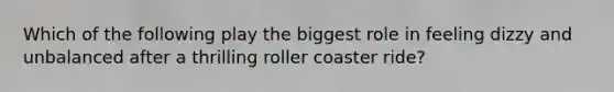 Which of the following play the biggest role in feeling dizzy and unbalanced after a thrilling roller coaster ride?