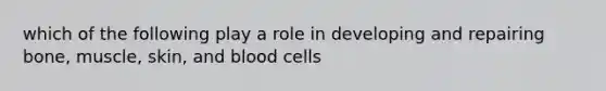 which of the following play a role in developing and repairing bone, muscle, skin, and blood cells