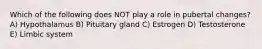 Which of the following does NOT play a role in pubertal changes? A) Hypothalamus B) Pituitary gland C) Estrogen D) Testosterone E) Limbic system